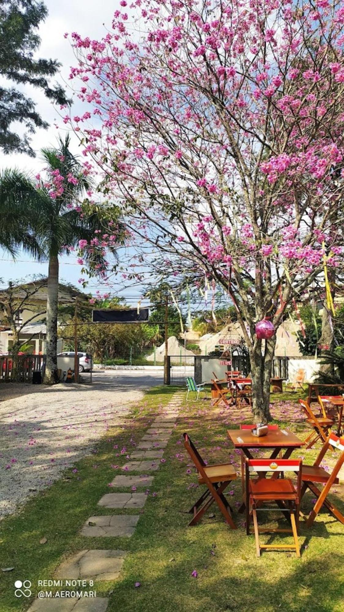 Nomades Vibe Da Ilha - Adventure Hostels & Coworking Florianópolis Exterior foto